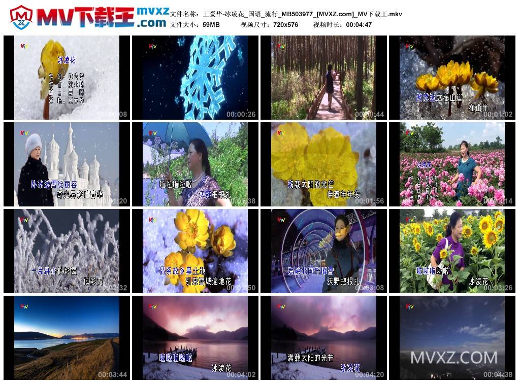 王爱华-冰凌花_国语_流行_MB503977